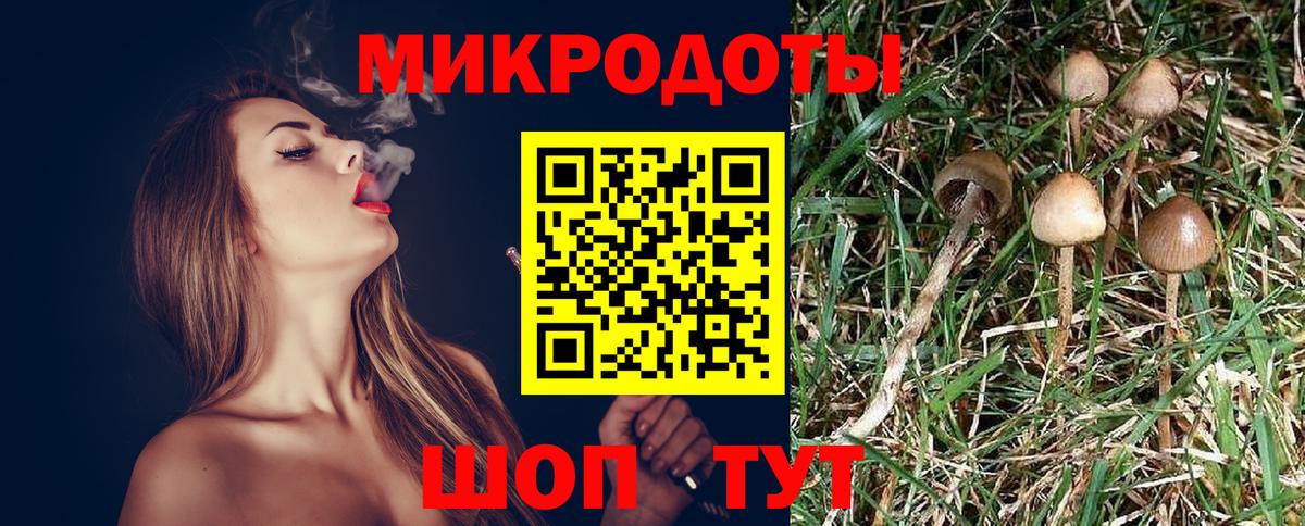 Псилоцибиновые грибы прущие грибы Гурьевск